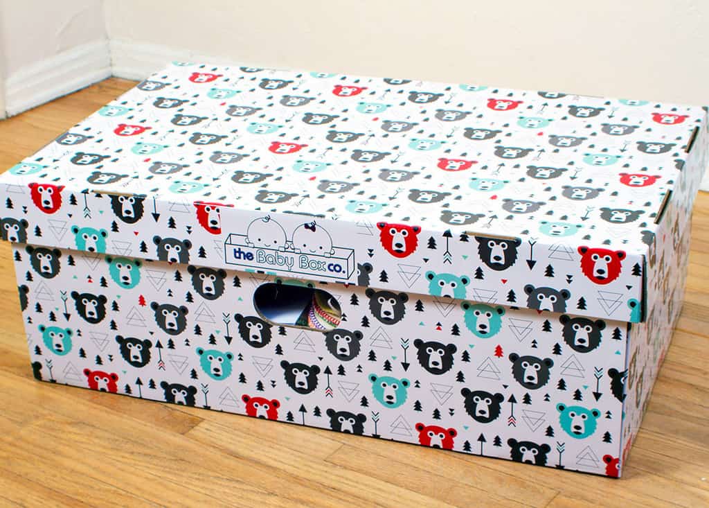 Review: Thinking of a Baby Box? (My Review of the BabyBoxCo.) 7