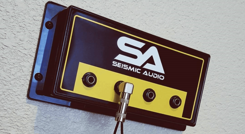 Seismic Audio Luke 2x12 Cabinet