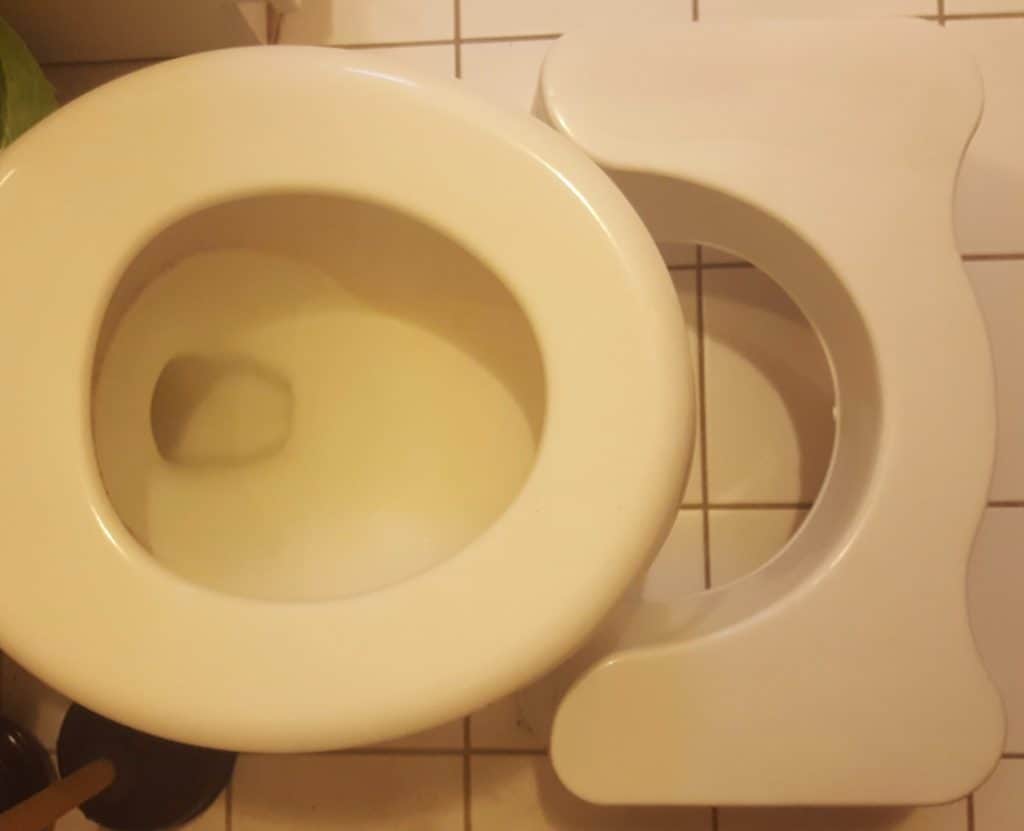 Review: Squatty Potty (Does It Deserve Your Skeptical Expression?) 7