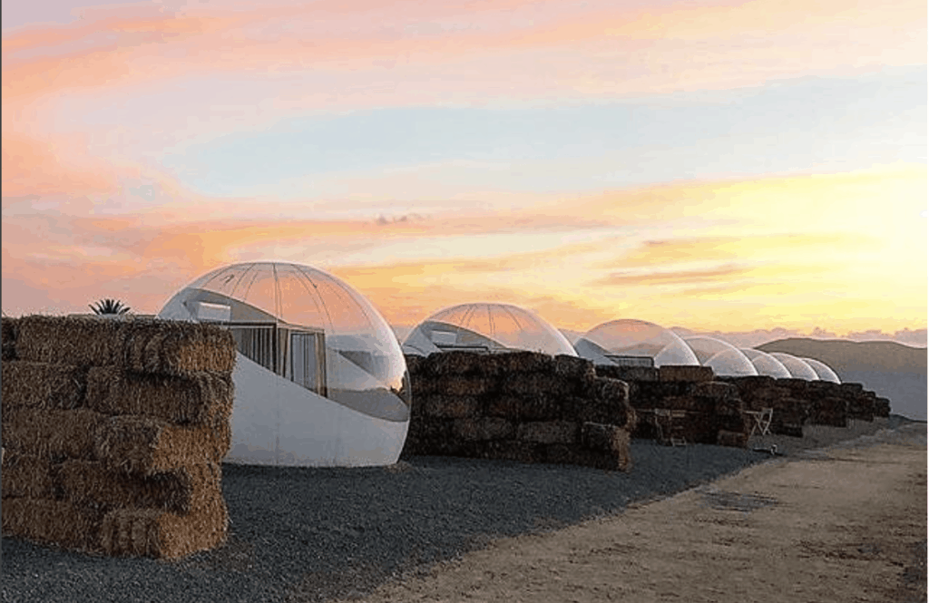 Baja Vineyard Airbnb Bubble Houses