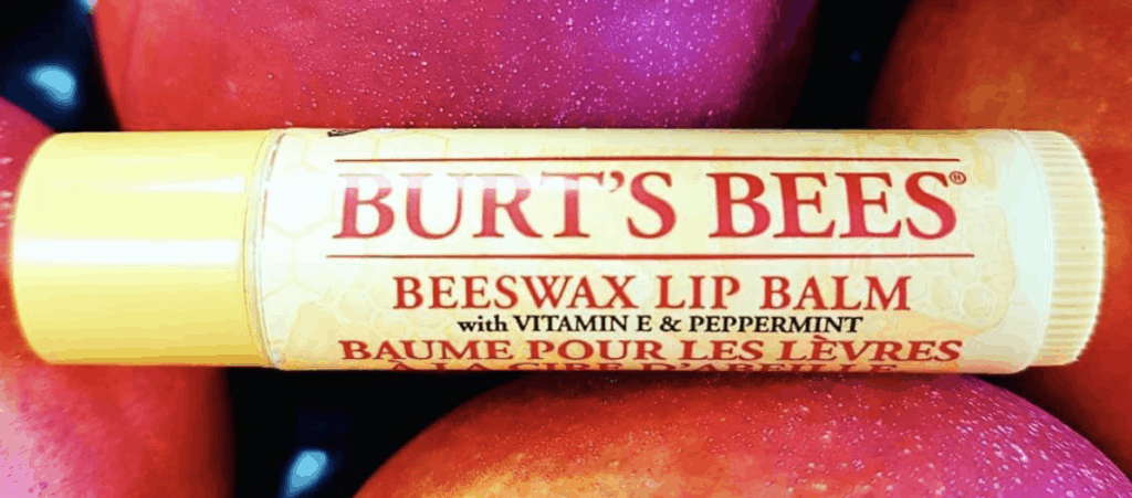 Burt's Bees Essentials Beauty Gift Set Lip Balm