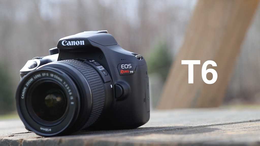 Review: Canon EOS Rebel T6 DSLR (The beginner's dream) 1