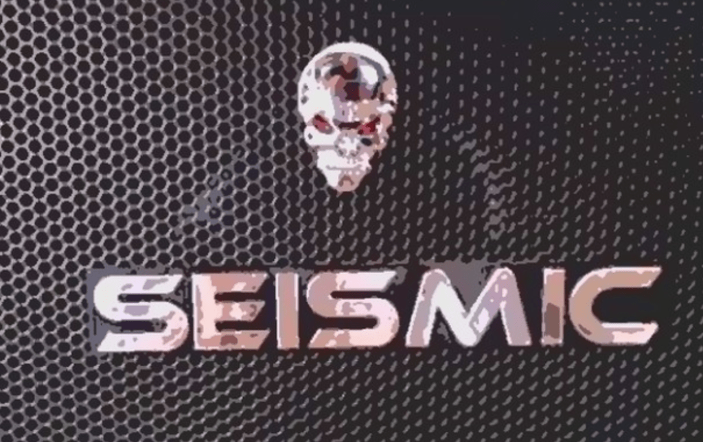 Seismic Audio Luke 2x12 Cabinet