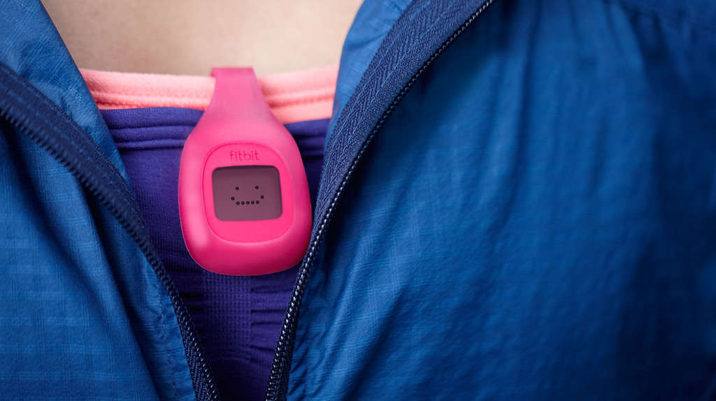 Review: FitBit Zip (The Most Affordable FitBit Product?) 5