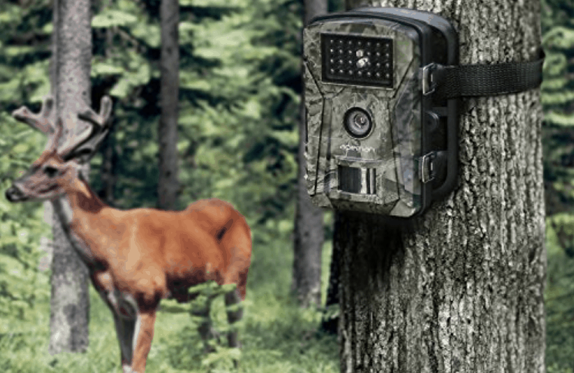 Apeman Trail Camera Review 2