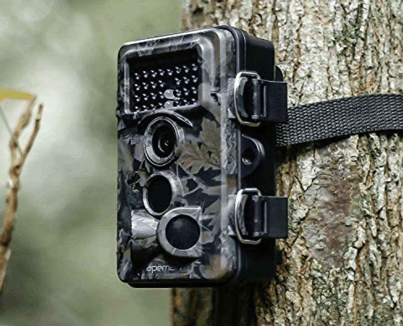 Apeman Trail Camera Review 4