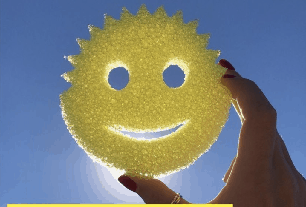 Scrub Daddy Sponge In Hand